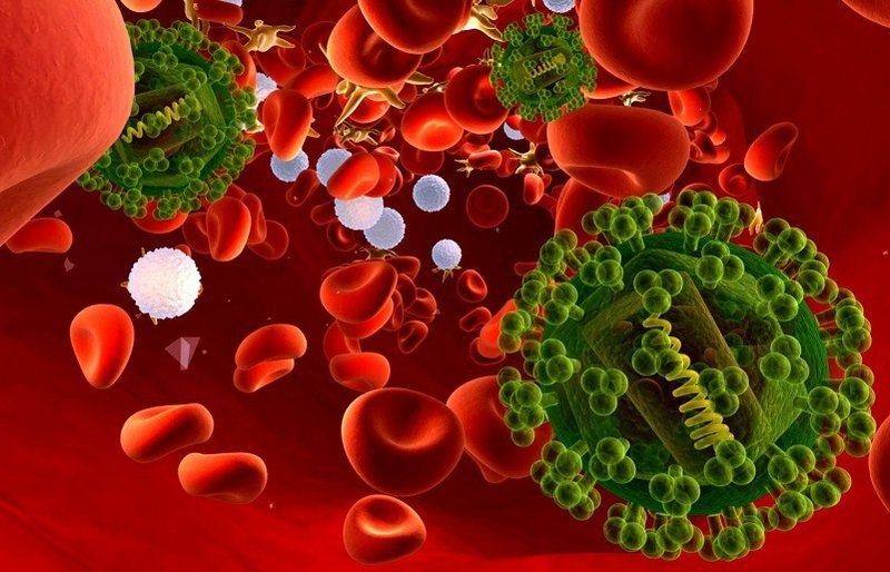 Người già bị viêm phổi nên ăn gì để cải thiện sức khỏe?2