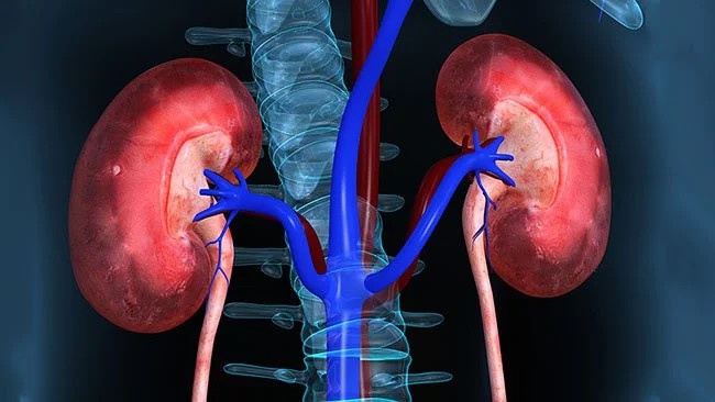 nguyên nhân bị suy thận 01