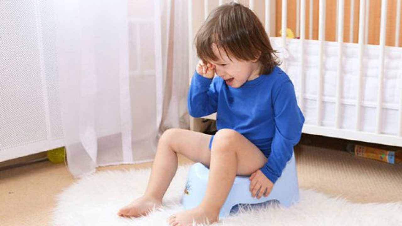 Cây Phượng nhỡn thảo chữa bệnh kiết lỵ