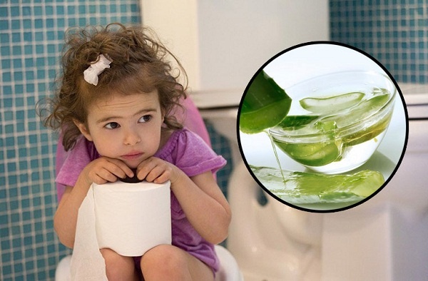 nha đam trị táo bón có hiệu quả không? Cách sử dụng như thế nào? 2