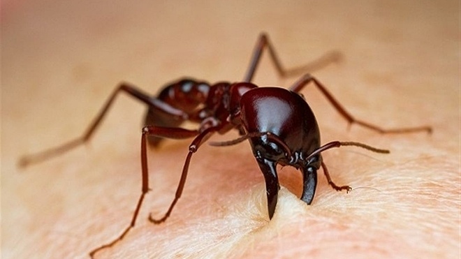 nhan-biet-dau-hieu-soc-phan-ve-quan-trong-nhu-the-nao 2