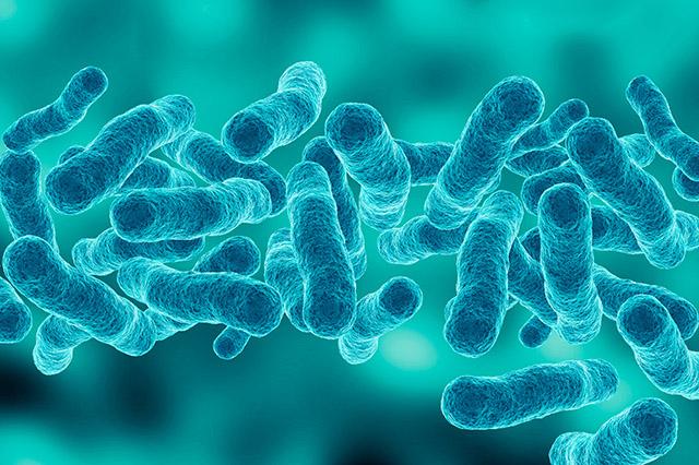 Nhiễm trùng Legionella và viêm phổi do Legionella có nguy hiểm không? 1