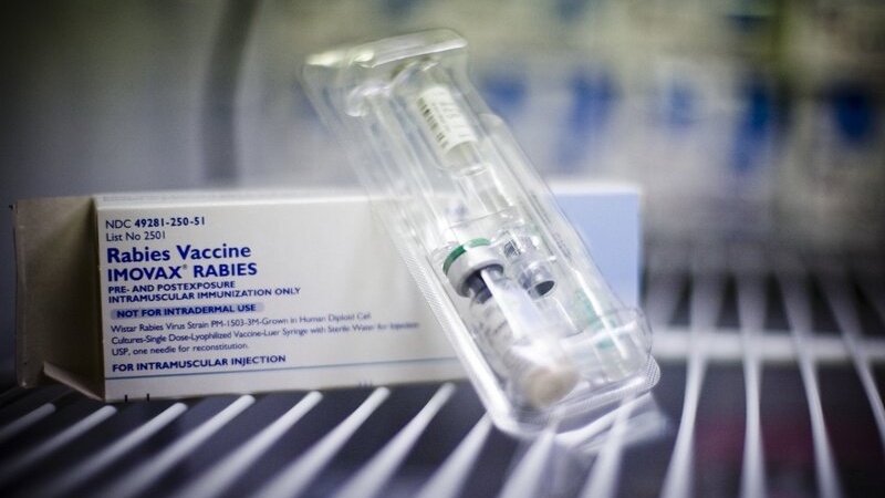 Nhiệt độ thích hợp bảo quản vắc xin là bao nhiêu? 2