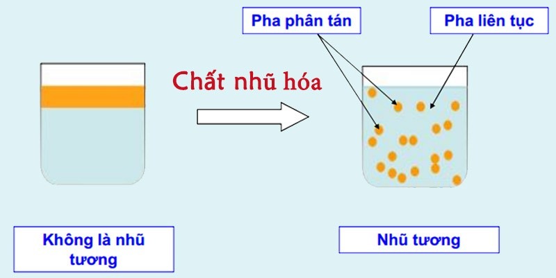 Nhũ tương trị mụn có tốt không? Nhũ tương hoạt động trên da như thế nào?