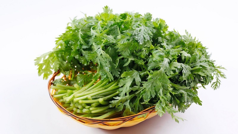 Những ai không nên ăn rau cải cúc? 2