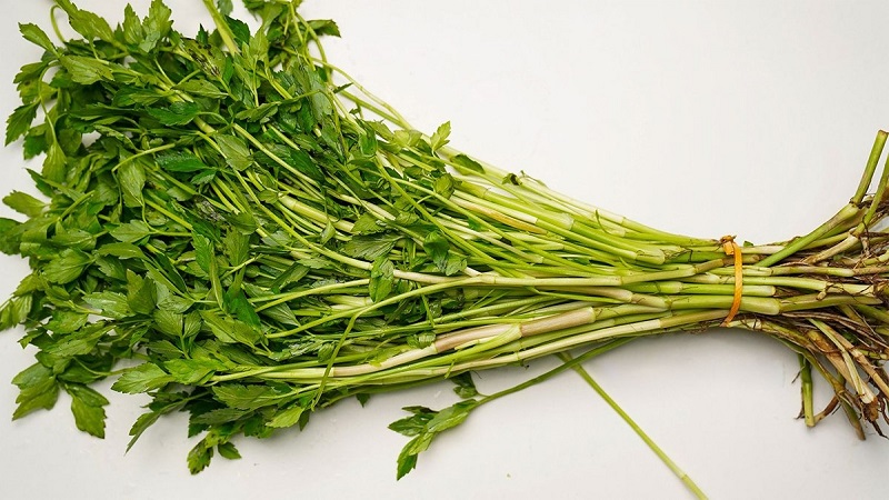 Những ai không nên ăn rau cần? 2