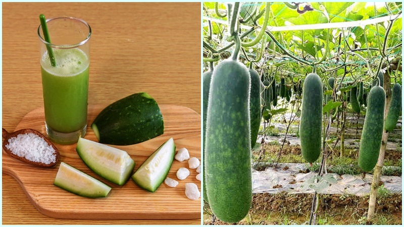 Mách bạn cách giảm cân với bí đao an toàn ngay tại nhà 2