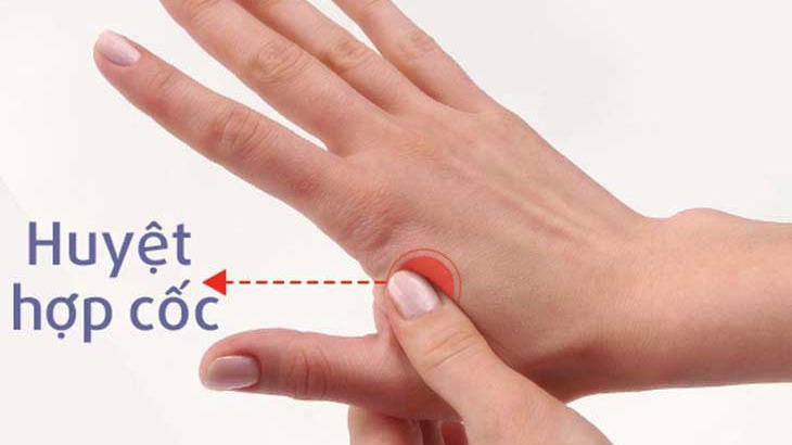 Tổng hợp những cách hết buồn nôn hiệu quả mà bạn nên biết 2