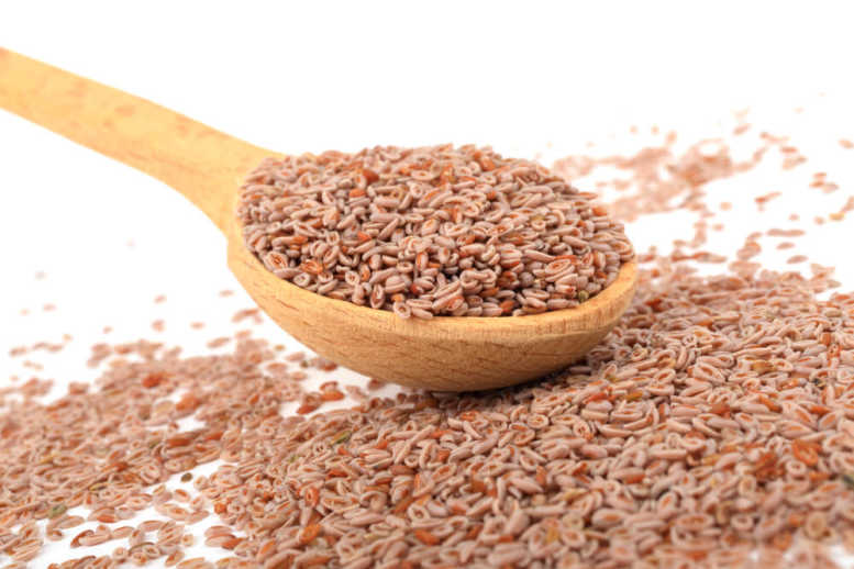 Những công dụng không ngờ đến của vỏ hạt mã đề 2