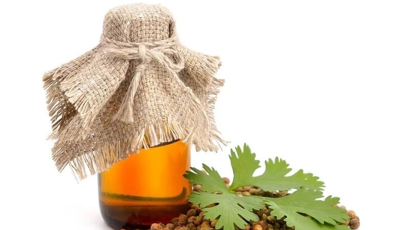 Những điều bạn nên biết về tinh dầu mùi già 2