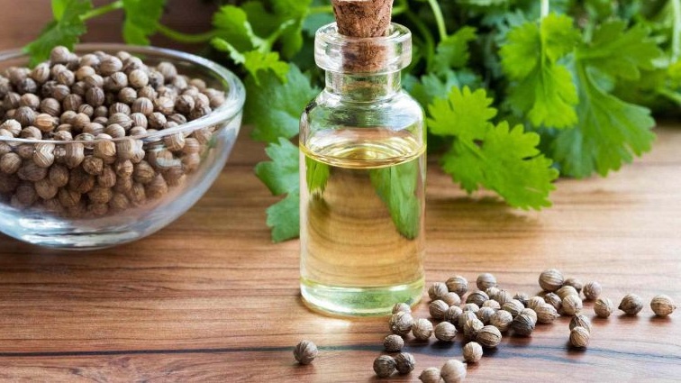 Những điều bạn nên biết về tinh dầu mùi già 3