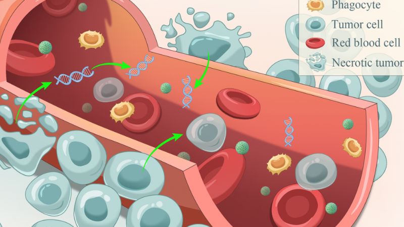 Những điều cần biết về phương pháp sinh thiết lỏng ctDNA 1