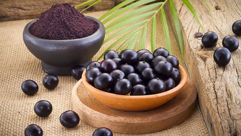 Những điều cần biết về quả Acai