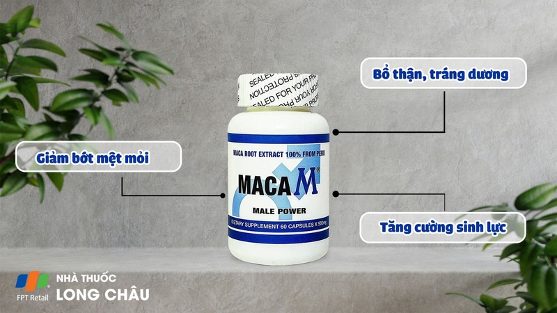 Maca M Male Power hỗ trợ bổ thận, tráng dương, hỗ trợ tăng cường khả năng sinh lý nam