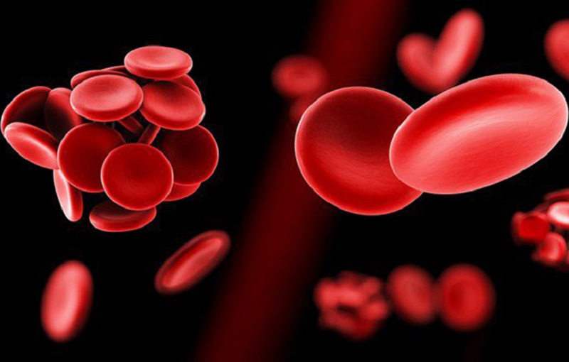 nhung-loai-thuoc-dieu-tri-xo-vua-dong-mach-hieu-qua 3.jpg