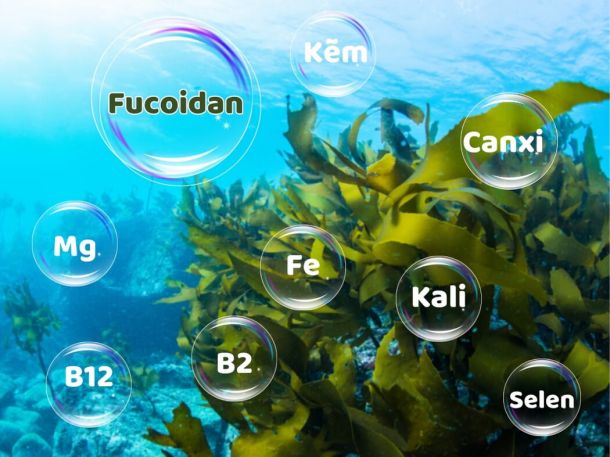 nhung-loi-ich-tuyet-voi-cua-tao-nau-doi-voi-suc-khoe 2.jpg