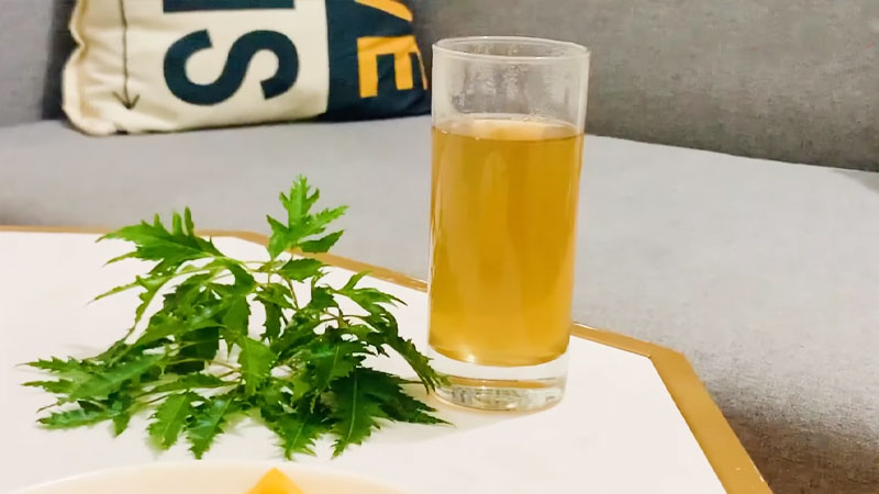 Những người không nên uống lá đinh lăng 2