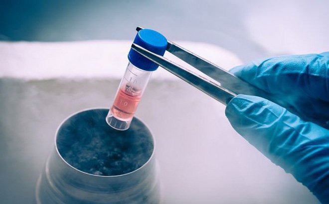 Những ứng dụng tuyệt vời ít ai biết của tế bào gốc tủy xương 3