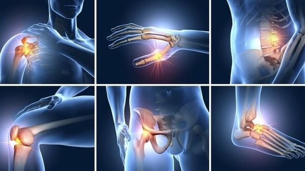 noi-co-xuong-khop-la-gi-kham-pha-chuc-nang-va-vai-tro-cua-noi-co-xuong-khop 3