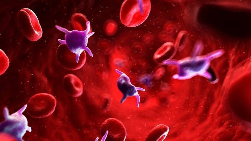 nrbc-trong-xet-nghiem-mau-la-gi-y-nghia-cua-chi-so-nrbc 2