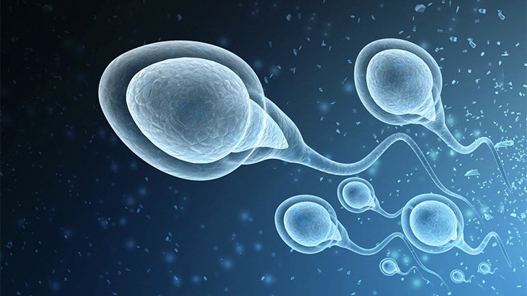 loc-rua-tinh-trung-va-nhung-dieu-can-biet 1