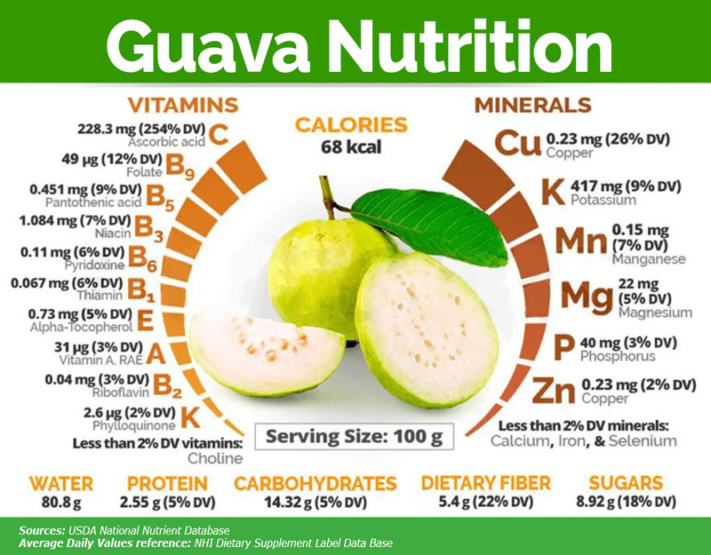 Ổi có vitamin gì 02