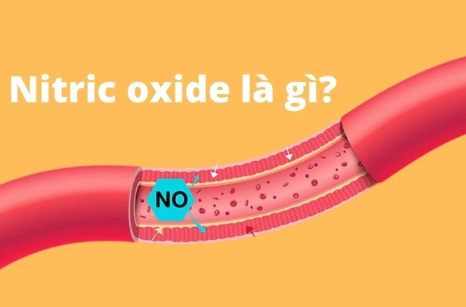 Oxit nitric có tác dụng gì cho sức khỏe? Các loại thực phẩm tăng Oxit nitric 1