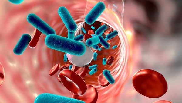 Phác đồ điều trị tụ cầu vàng như thế nào? 1