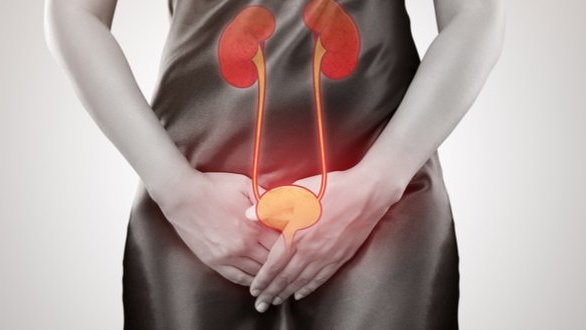 phan-xa-bang-quang-la-gi-benh-ly-bang-quang-than-kinh-la-nhu-the-nao 1