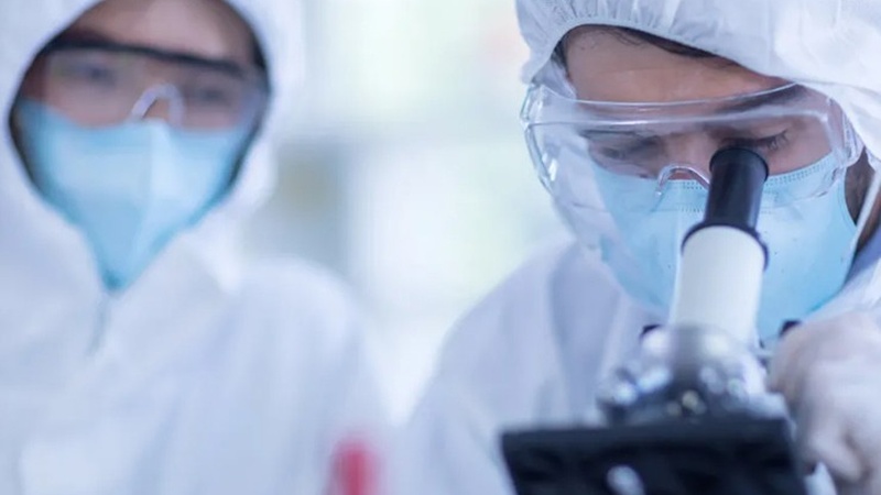 Phát hiện mới về vật liệu dẫn thuốc tiêu diệt tế bào ung thư 3