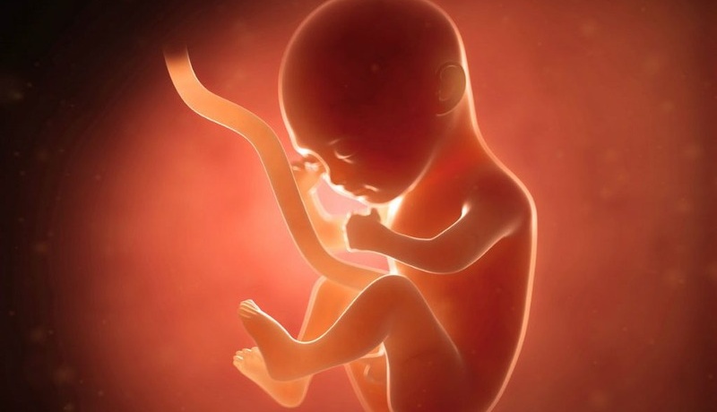 Phôi loại 1 2 3 là gì? Cách phân loại và chọn lựa phôi trong IVF 3