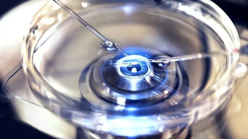 Phôi loại 1 2 3 là gì? Cách phân loại và chọn lựa phôi trong IVF 4