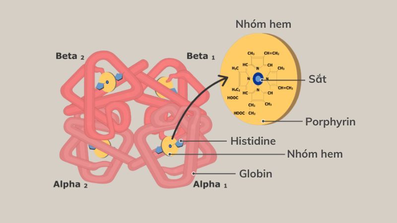 Phòng ngừa thiếu sắt ở trẻ với dung dịch Ferrolip Baby 1