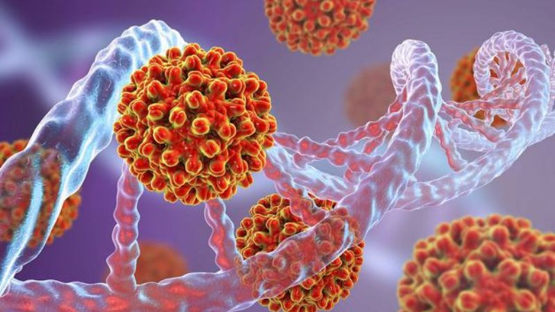 Phòng ngừa viêm gan B với vaccine Engerix B 1