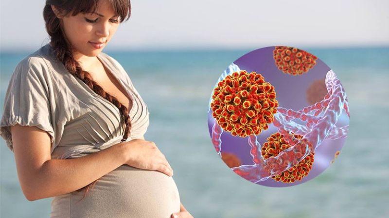 Phòng ngừa viêm gan B với vaccine Engerix B 3