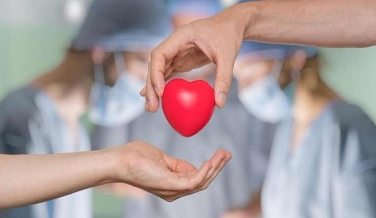 Phương pháp cấy ghép nội tạng là gì? Các biến chứng có thể gặp khi cấy ghép nội tạng 1