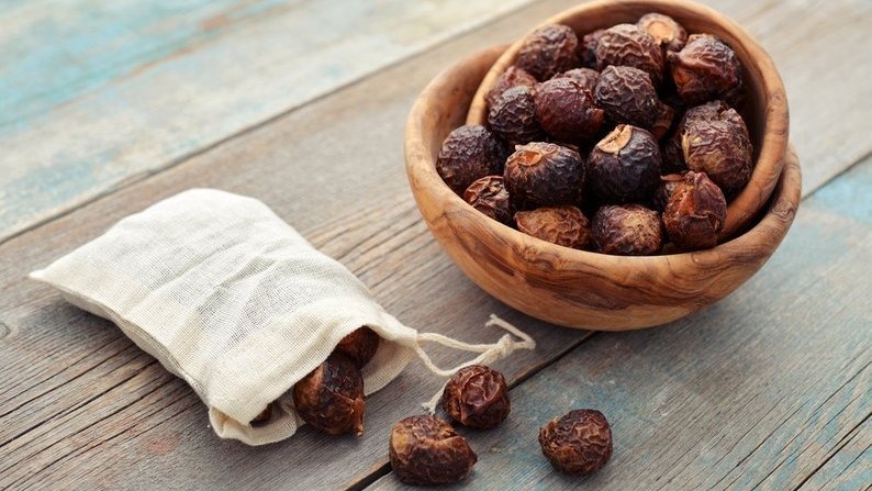 Quả bồ hòn có ăn được không? Một số lưu ý khi sử dụng quả bồ hòn 2