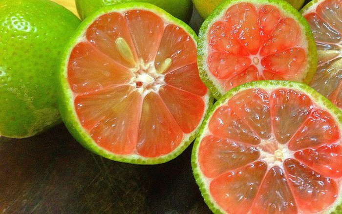 Quả chanh đào có tác dụng gì? Những điều cần chú ý khi sử dụng chanh đào 3