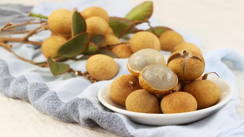 Quả nhãn và tổng hợp những thông tin bạn cần biết 3