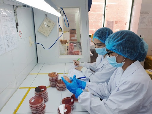 Quy trình nuôi cấy vi khuẩn và các quy tắc cần tuân thủ 2