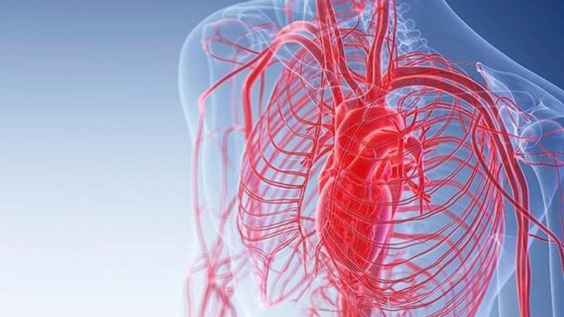 reflexology-la-gi-nhung-loi-ich-ma-reflexology-dem-lai 4