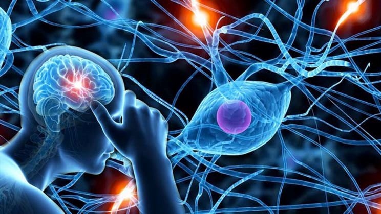 roi-loan-giac-quan-o-tre-tu-ky-la-gi-trieu-chung-va-cach-dieu-tri 2