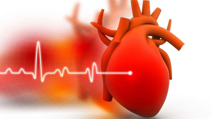 Rối loạn kali máu là gì? Có nguy hiểm không? 1