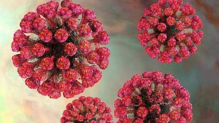 Rubella igG dương tính có ý nghĩa như thế nào? 1