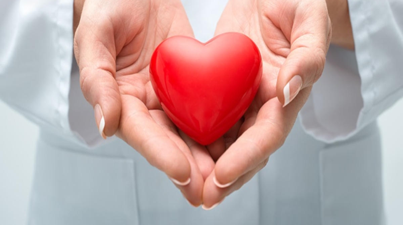 Sắn dây có tác dụng gì? Hướng dẫn bạn cách uống sắn dây thải độc đúng cách 2