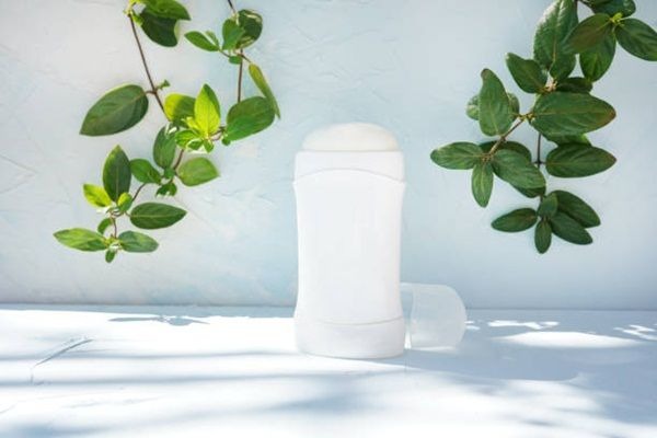 sap-lan-nach-la-gi-co-nen-dung-sap-lan-nach-hay-khong 3.jpg