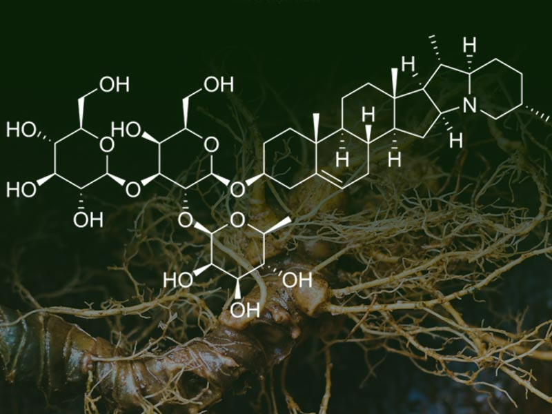 Saponin là gì? Công dụng của saponin đối với sức khỏe1