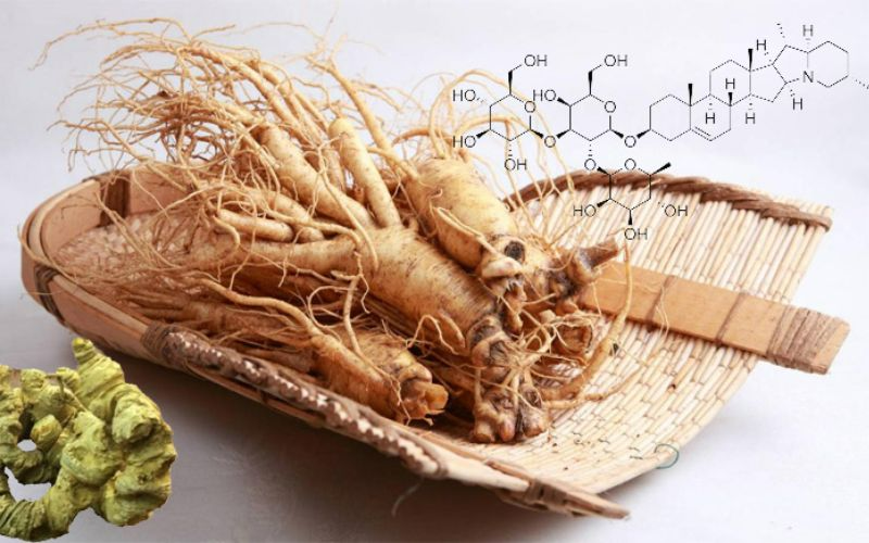 Saponin là gì? Công dụng của saponin đối với sức khỏe3