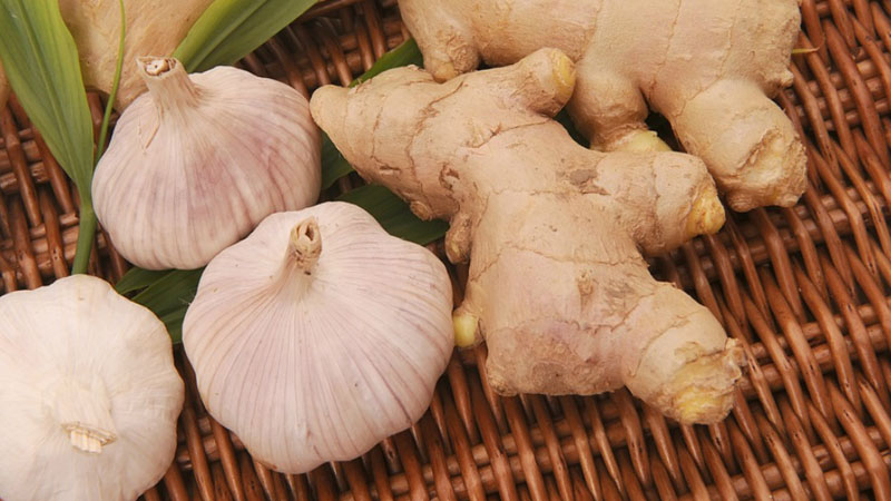 Sâu răng là gì? Răng bị sâu phải làm sao? 3