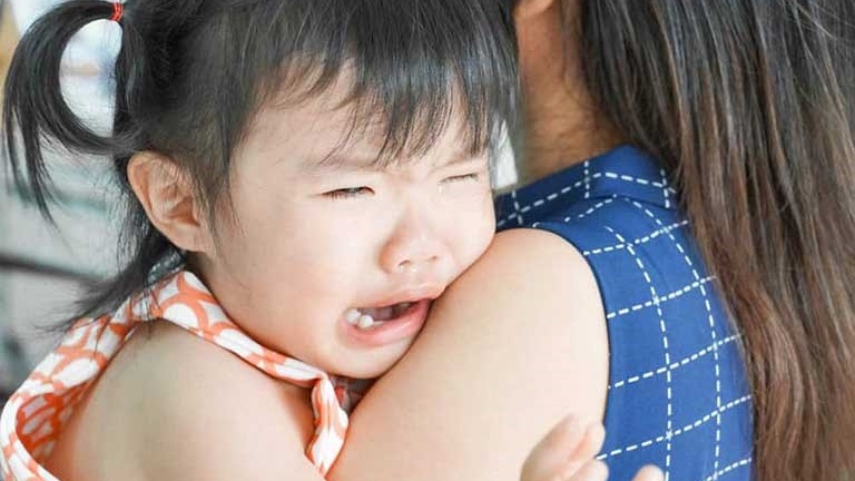 separation-anxiety-la-gi-nguyen-nhan-trieu-chung-va-cach-dieu-tri-benh 3